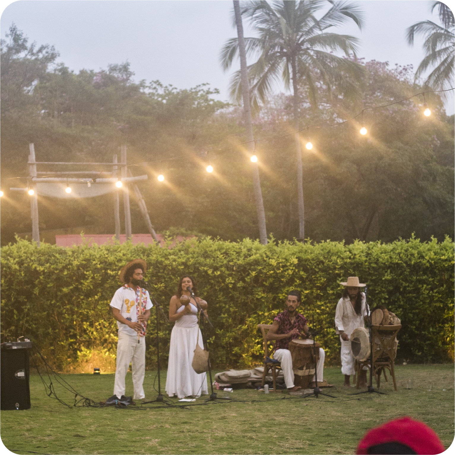 Bodas